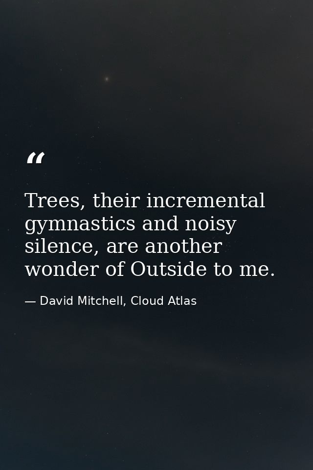 Trees, their incremental gymnastics and noisy silence, are another wonder of Outside to me. — David Mitchell, Cloud Atlas