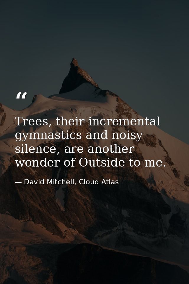 Trees, their incremental gymnastics and noisy silence, are another wonder of Outside to me. — David Mitchell, Cloud Atlas
