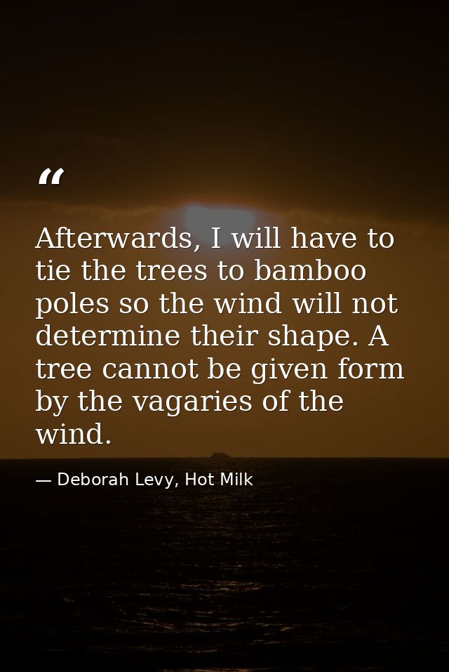 Afterwards, I will have to tie the trees to bamboo poles so the wind will not determine their shape. A tree cannot be gi — Deborah Levy, Hot Milk