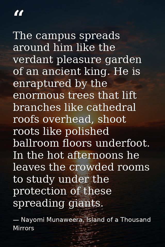 The campus spreads around him like the verdant pleasure garden of an ancient king. He is enraptured by the enormous tree — Nayomi Munaweera, Island of a Thousand Mirrors
