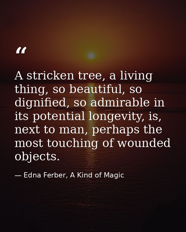 A stricken tree, a living thing, so beautiful, so dignified, so admirable in its potential longevity, is, next to man, p — Edna Ferber, A Kind of Magic