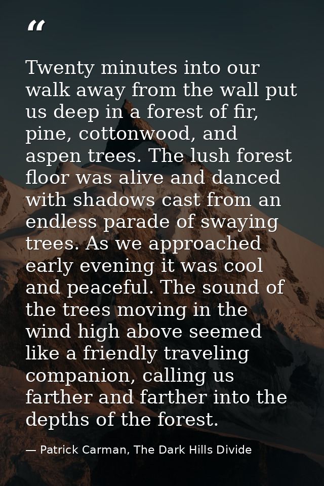 Twenty minutes into our walk away from the wall put us deep in a forest of fir, pine, cottonwood, and aspen trees. The l — Patrick Carman, The Dark Hills Divide