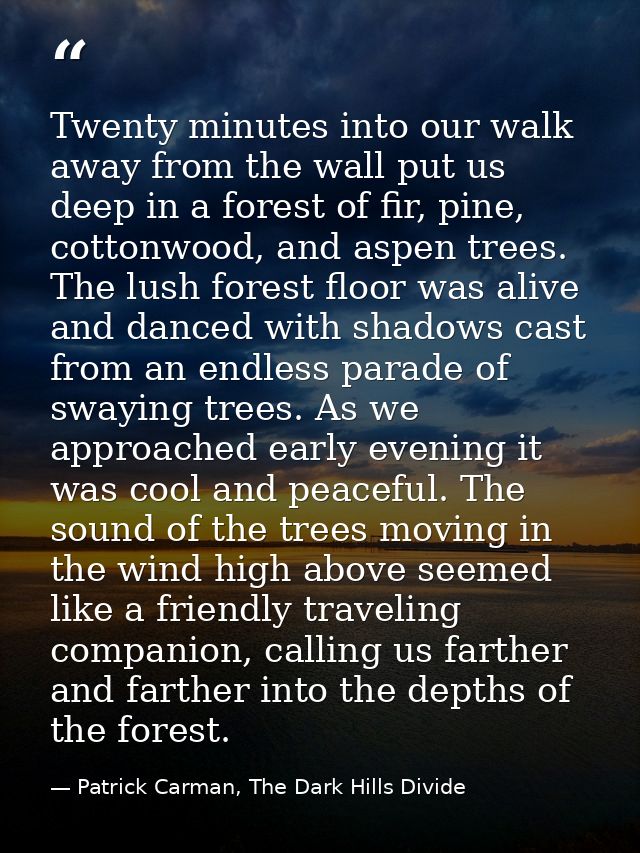 Twenty minutes into our walk away from the wall put us deep in a forest of fir, pine, cottonwood, and aspen trees. The l — Patrick Carman, The Dark Hills Divide