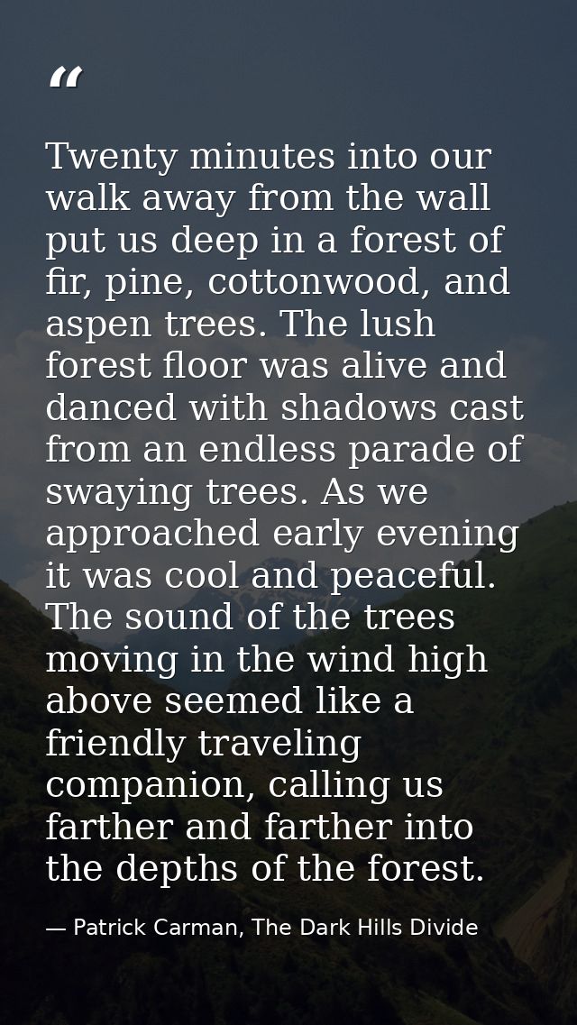Twenty minutes into our walk away from the wall put us deep in a forest of fir, pine, cottonwood, and aspen trees. The l — Patrick Carman, The Dark Hills Divide