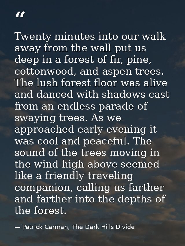 Twenty minutes into our walk away from the wall put us deep in a forest of fir, pine, cottonwood, and aspen trees. The l — Patrick Carman, The Dark Hills Divide