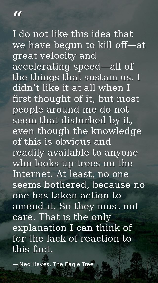 I do not like this idea that we have begun to kill off—at great velocity and accelerating speed—all of the things that s — Ned Hayes, The Eagle Tree