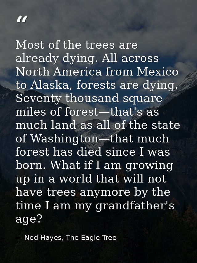 Most of the trees are already dying. All across North America from Mexico to Alaska, forests are dying. Seventy thousand — Ned Hayes, The Eagle Tree