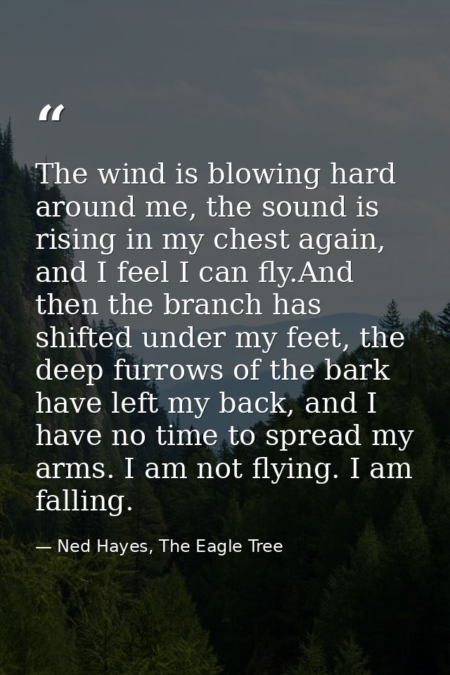 The wind is blowing hard around me, the sound is rising in my chest again, and I feel I can fly.And then the branch has  — Ned Hayes, The Eagle Tree