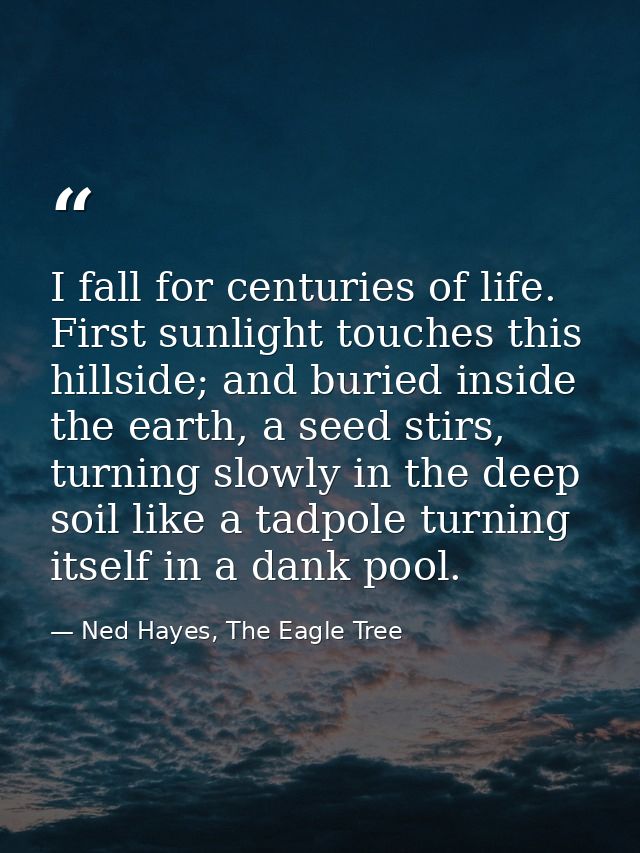 I fall for centuries of life. First sunlight touches this hillside; and buried inside the earth, a seed stirs, turning s — Ned Hayes, The Eagle Tree
