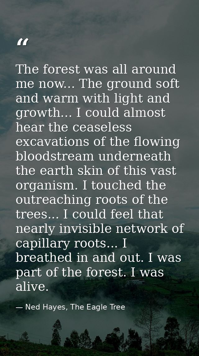 The forest was all around me now... The ground soft and warm with light and growth... I could almost hear the ceaseless  — Ned Hayes, The Eagle Tree