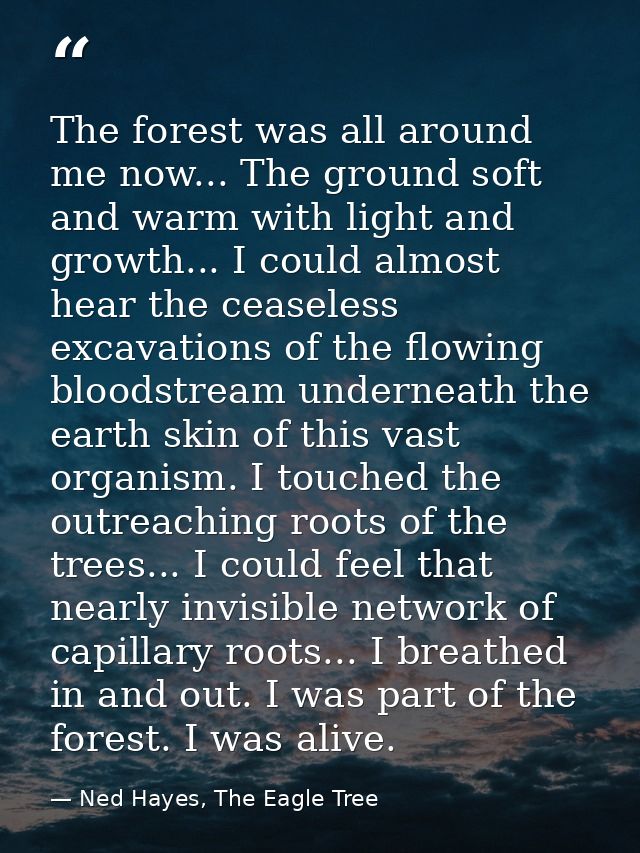 The forest was all around me now... The ground soft and warm with light and growth... I could almost hear the ceaseless  — Ned Hayes, The Eagle Tree