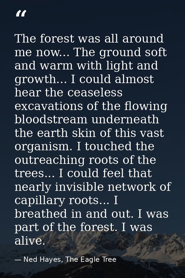 The forest was all around me now... The ground soft and warm with light and growth... I could almost hear the ceaseless  — Ned Hayes, The Eagle Tree