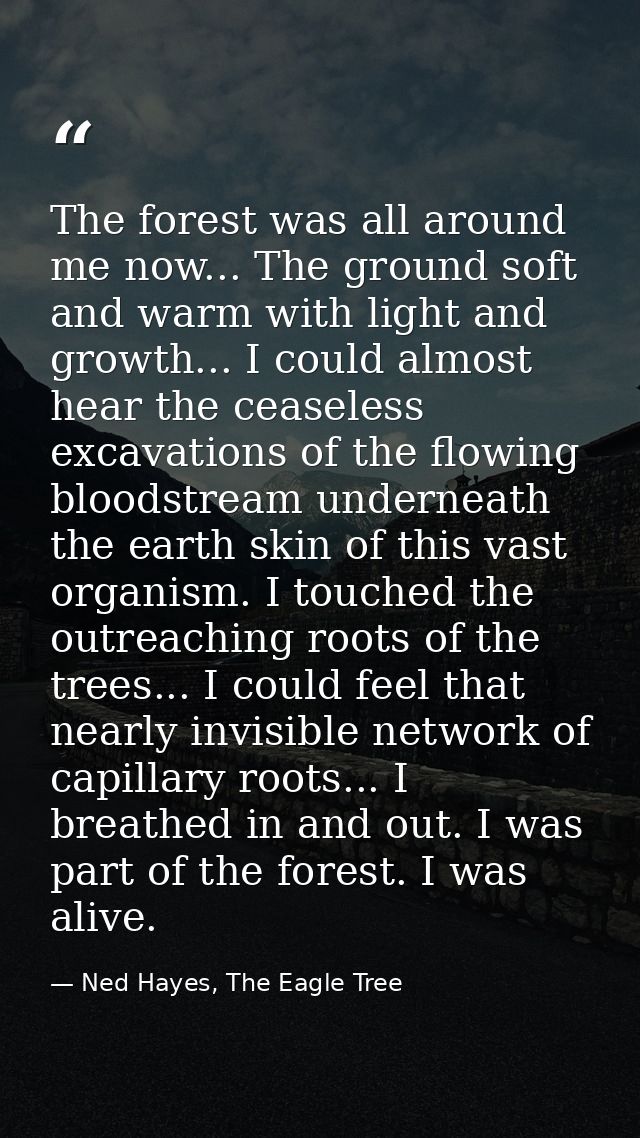 The forest was all around me now... The ground soft and warm with light and growth... I could almost hear the ceaseless  — Ned Hayes, The Eagle Tree