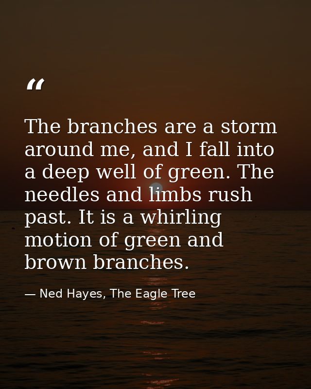 The branches are a storm around me, and I fall into a deep well of green. The needles and limbs rush past. It is a whirl — Ned Hayes, The Eagle Tree
