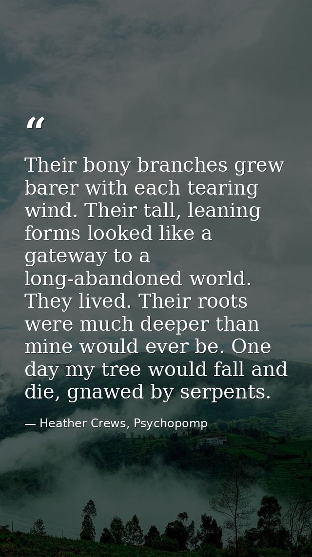 Their bony branches grew barer with each tearing wind. Their tall, leaning forms looked like a gateway to a long-abandon — Heather Crews, Psychopomp