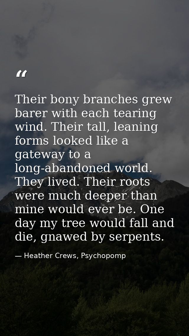 Their bony branches grew barer with each tearing wind. Their tall, leaning forms looked like a gateway to a long-abandon — Heather Crews, Psychopomp