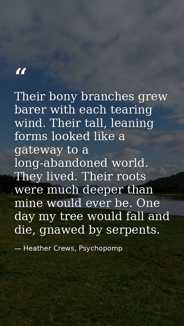 Their bony branches grew barer with each tearing wind. Their tall, leaning forms looked like a gateway to a long-abandon — Heather Crews, Psychopomp