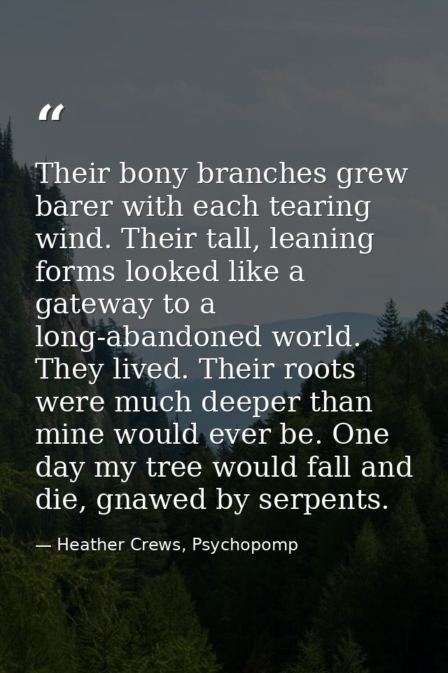 Their bony branches grew barer with each tearing wind. Their tall, leaning forms looked like a gateway to a long-abandon — Heather Crews, Psychopomp