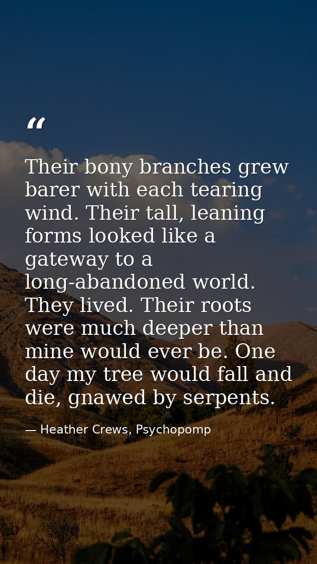 Their bony branches grew barer with each tearing wind. Their tall, leaning forms looked like a gateway to a long-abandon — Heather Crews, Psychopomp