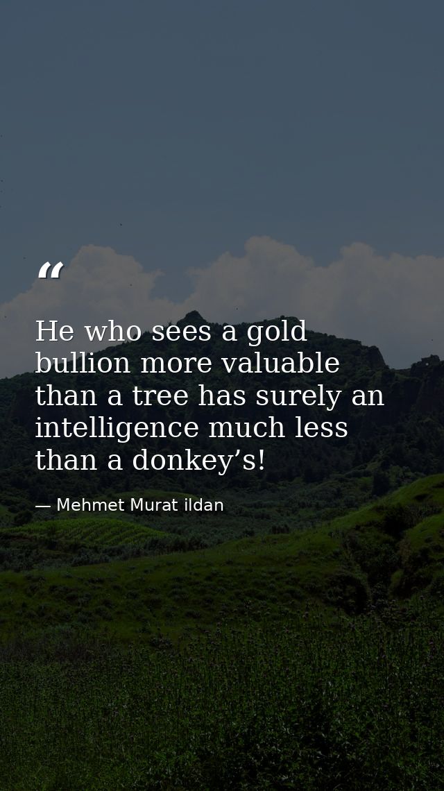 He who sees a gold bullion more valuable than a tree has surely an intelligence much less than a donkey’s! — Mehmet Murat ildan