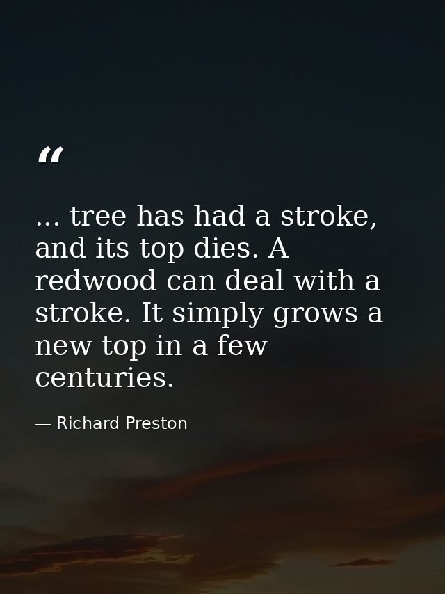 ... tree has had a stroke, and its top dies. A redwood can deal with a stroke. It simply grows a new top in a few centur — Richard Preston