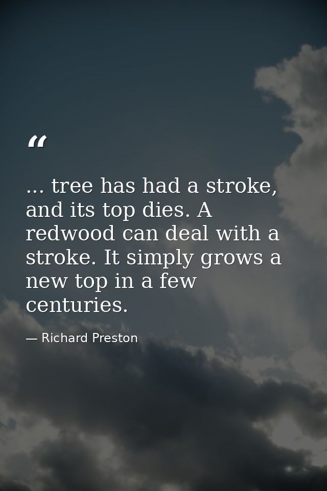 ... tree has had a stroke, and its top dies. A redwood can deal with a stroke. It simply grows a new top in a few centur — Richard Preston