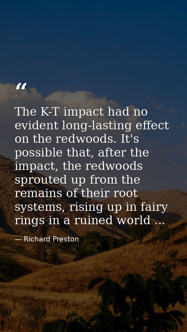 The K-T impact had no evident long-lasting effect on the redwoods. It's possible that, after the impact, the redwoods sp — Richard Preston
