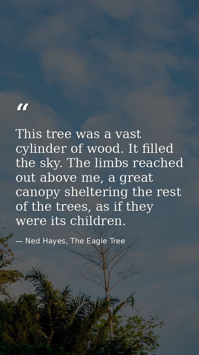 This tree was a vast cylinder of wood. It filled the sky. The limbs reached out above me, a great canopy sheltering the  — Ned Hayes, The Eagle Tree