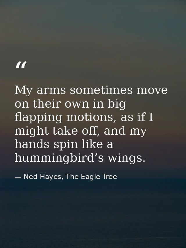 My arms sometimes move on their own in big flapping motions, as if I might take off, and my hands spin like a hummingbir — Ned Hayes, The Eagle Tree