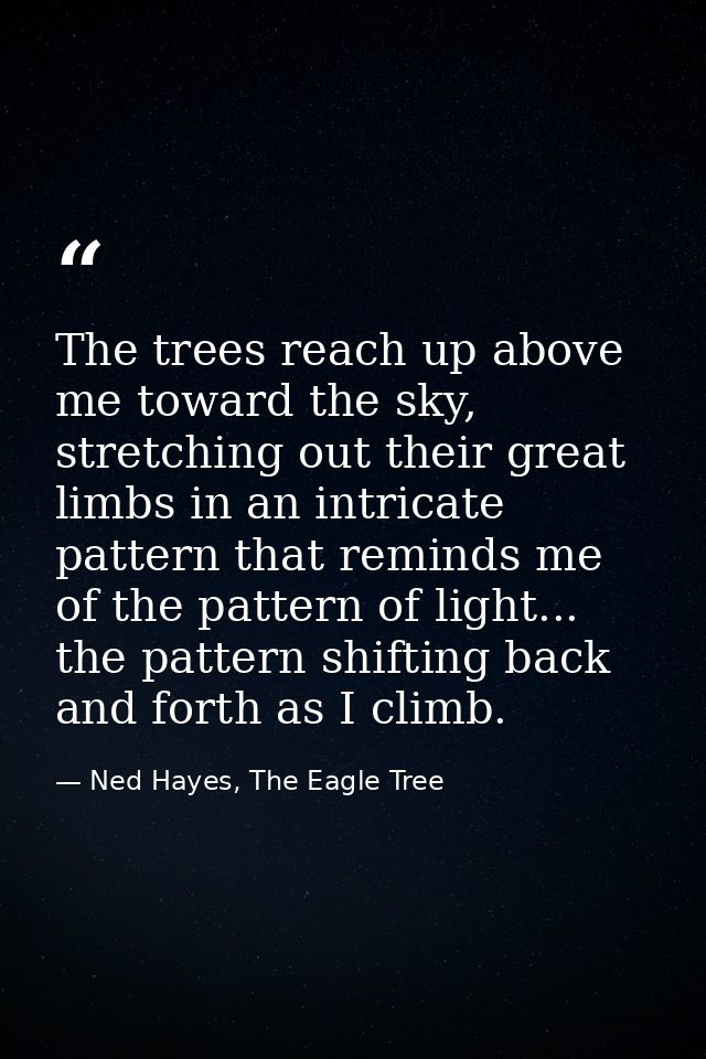 The trees reach up above me toward the sky, stretching out their great limbs in an intricate pattern that reminds me of  — Ned Hayes, The Eagle Tree