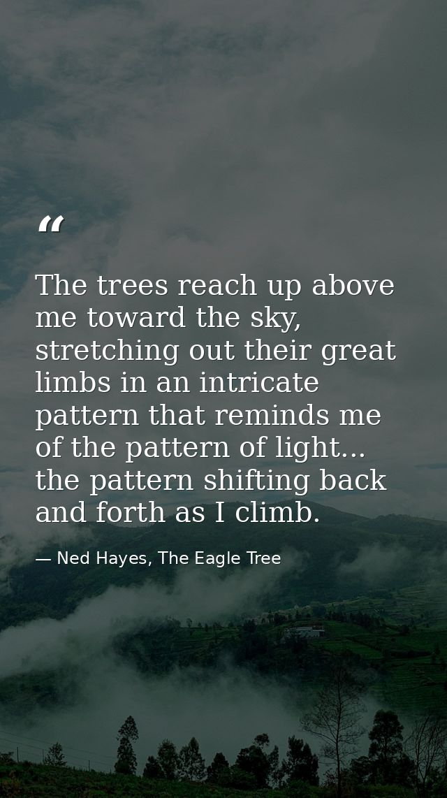 The trees reach up above me toward the sky, stretching out their great limbs in an intricate pattern that reminds me of  — Ned Hayes, The Eagle Tree
