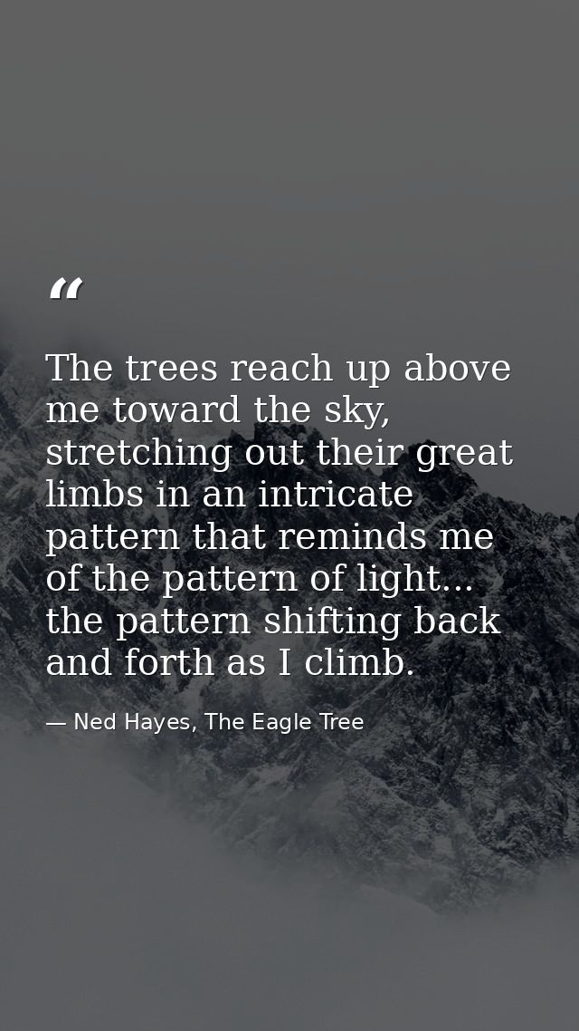 The trees reach up above me toward the sky, stretching out their great limbs in an intricate pattern that reminds me of  — Ned Hayes, The Eagle Tree