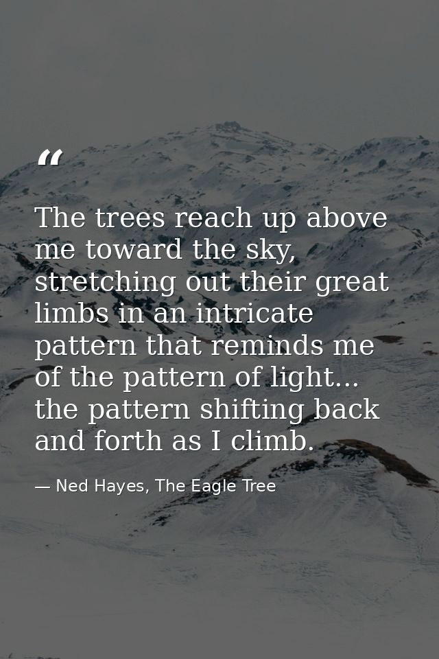 The trees reach up above me toward the sky, stretching out their great limbs in an intricate pattern that reminds me of  — Ned Hayes, The Eagle Tree