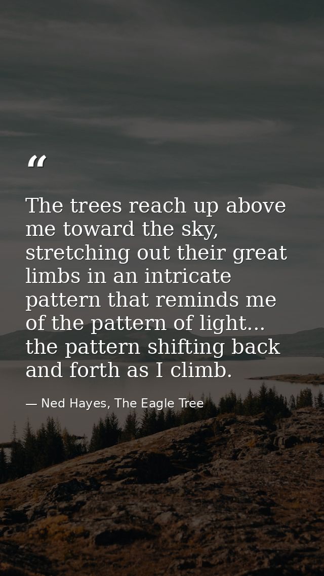 The trees reach up above me toward the sky, stretching out their great limbs in an intricate pattern that reminds me of  — Ned Hayes, The Eagle Tree
