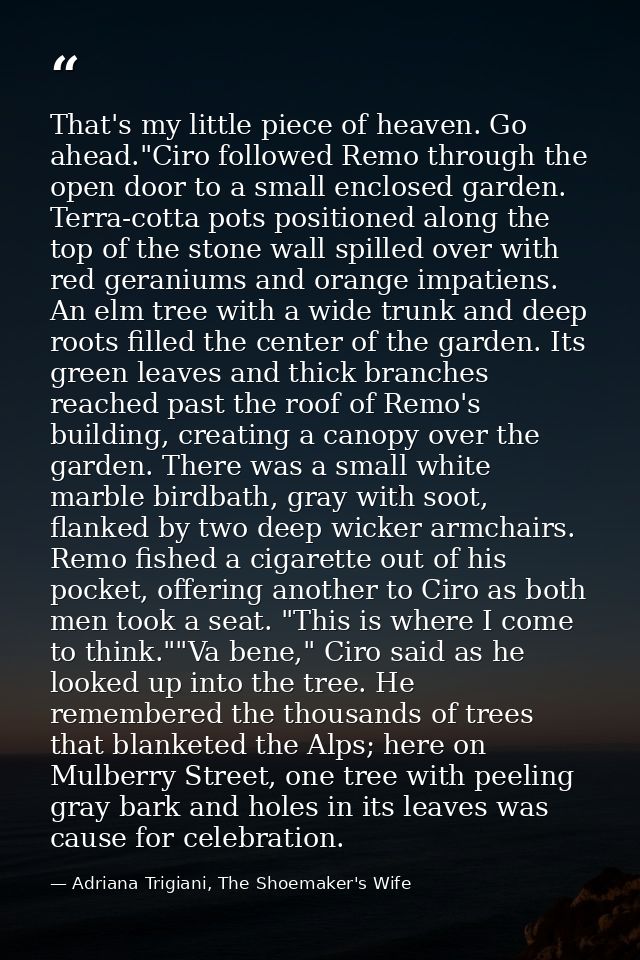 That's my little piece of heaven. Go ahead."Ciro followed Remo through the open door to a small enclosed garden. Terra-c — Adriana Trigiani, The Shoemaker's Wife