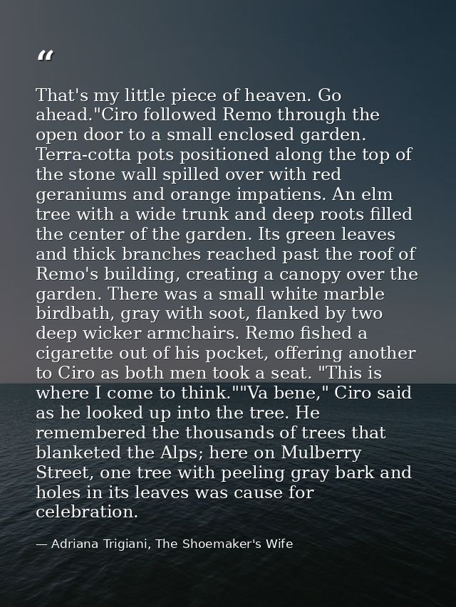 That's my little piece of heaven. Go ahead."Ciro followed Remo through the open door to a small enclosed garden. Terra-c — Adriana Trigiani, The Shoemaker's Wife