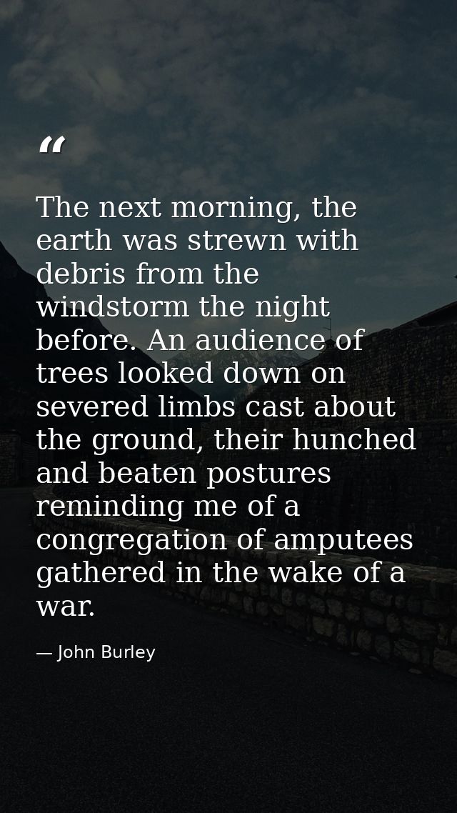 The next morning, the earth was strewn with debris from the windstorm the night before. An audience of trees looked down — John Burley