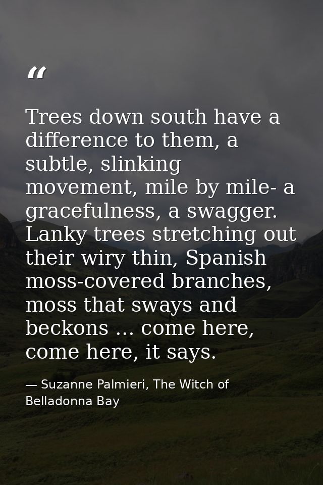 Trees down south have a difference to them, a subtle, slinking movement, mile by mile- a gracefulness, a swagger. Lanky  — Suzanne Palmieri, The Witch of Belladonna Bay