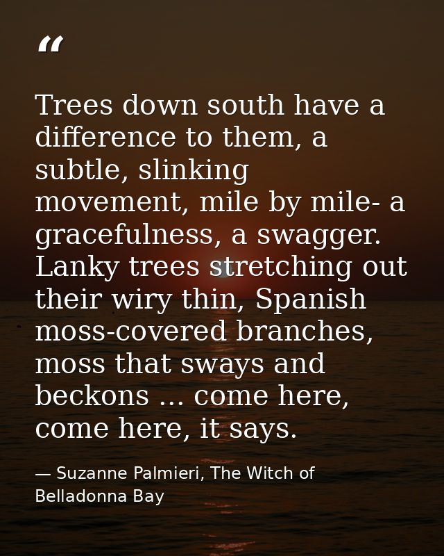Trees down south have a difference to them, a subtle, slinking movement, mile by mile- a gracefulness, a swagger. Lanky  — Suzanne Palmieri, The Witch of Belladonna Bay