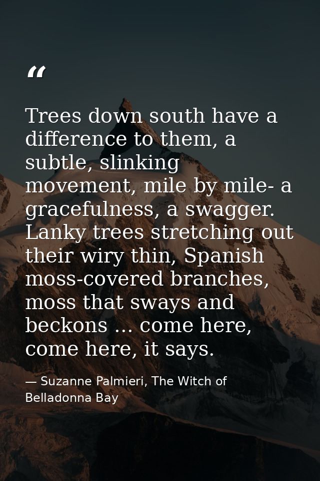 Trees down south have a difference to them, a subtle, slinking movement, mile by mile- a gracefulness, a swagger. Lanky  — Suzanne Palmieri, The Witch of Belladonna Bay