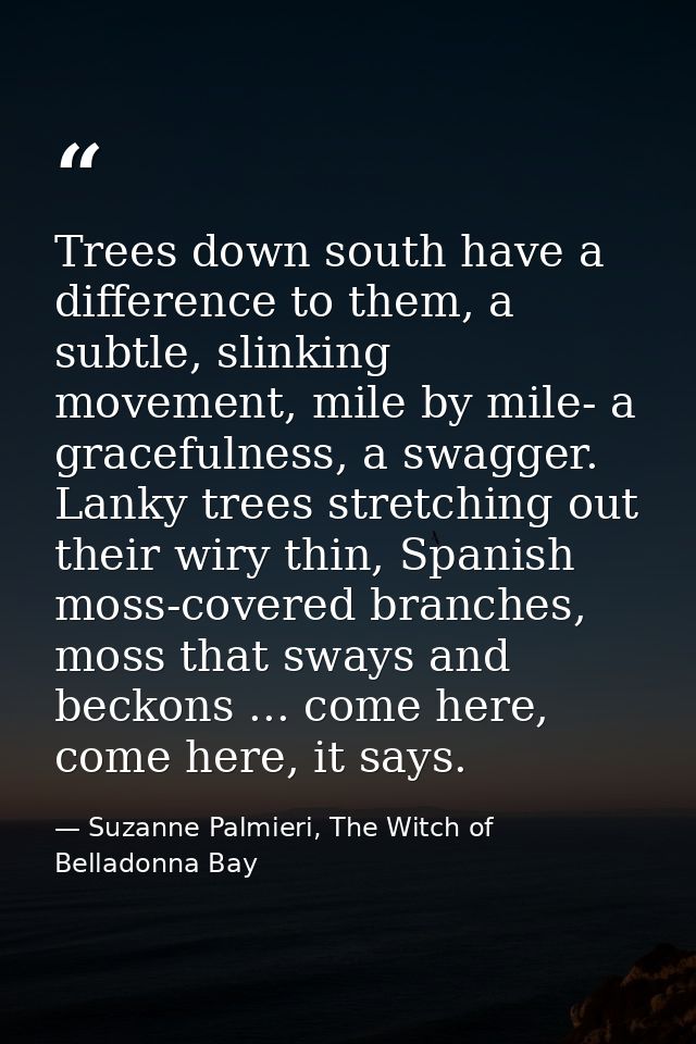 Trees down south have a difference to them, a subtle, slinking movement, mile by mile- a gracefulness, a swagger. Lanky  — Suzanne Palmieri, The Witch of Belladonna Bay