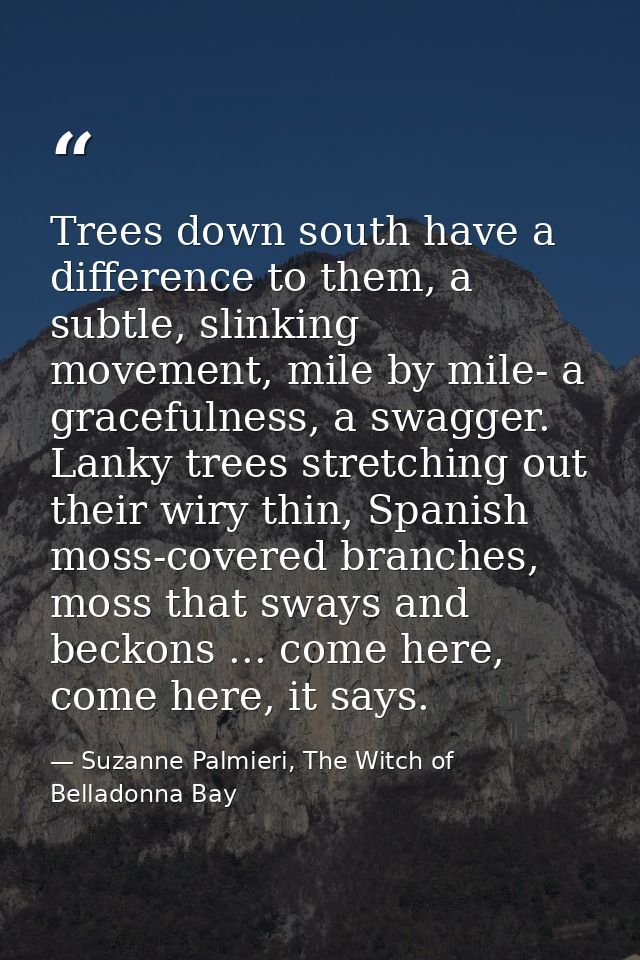 Trees down south have a difference to them, a subtle, slinking movement, mile by mile- a gracefulness, a swagger. Lanky  — Suzanne Palmieri, The Witch of Belladonna Bay