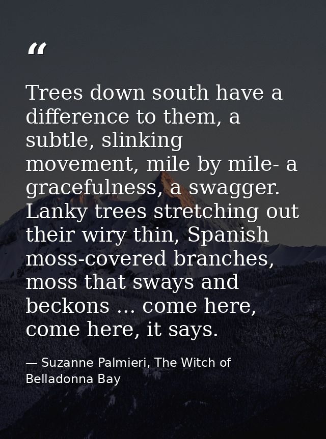 Trees down south have a difference to them, a subtle, slinking movement, mile by mile- a gracefulness, a swagger. Lanky  — Suzanne Palmieri, The Witch of Belladonna Bay