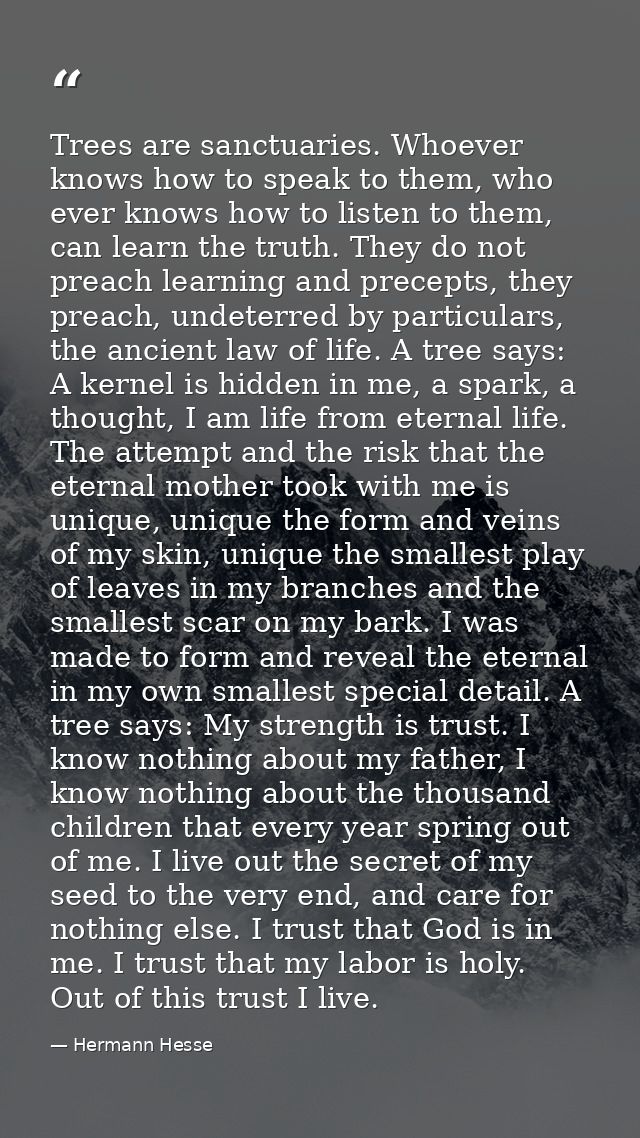 Trees are sanctuaries. Whoever knows how to speak to them, who ever knows how to listen to them, can learn the truth. Th — Hermann Hesse