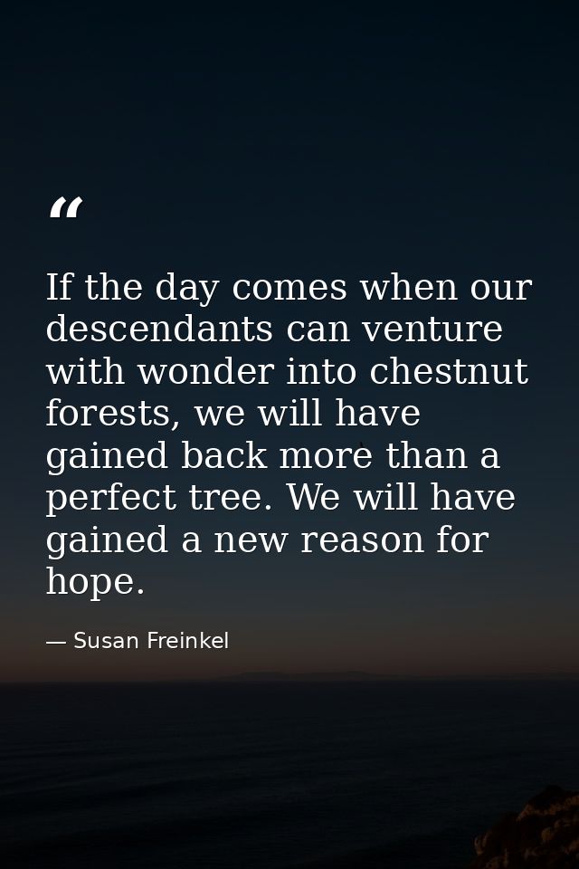 If the day comes when our descendants can venture with wonder into chestnut forests, we will have gained back more than  — Susan Freinkel