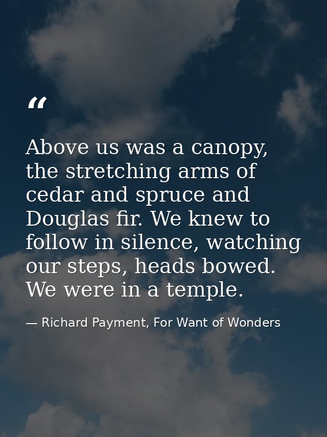 Above us was a canopy, the stretching arms of cedar and spruce and Douglas fir. We knew to follow in silence, watching o — Richard Payment, For Want of Wonders