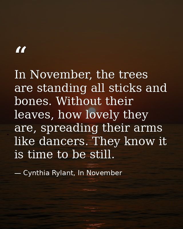 In November, the trees are standing all sticks and bones. Without their leaves, how lovely they are, spreading their arm — Cynthia Rylant, In November