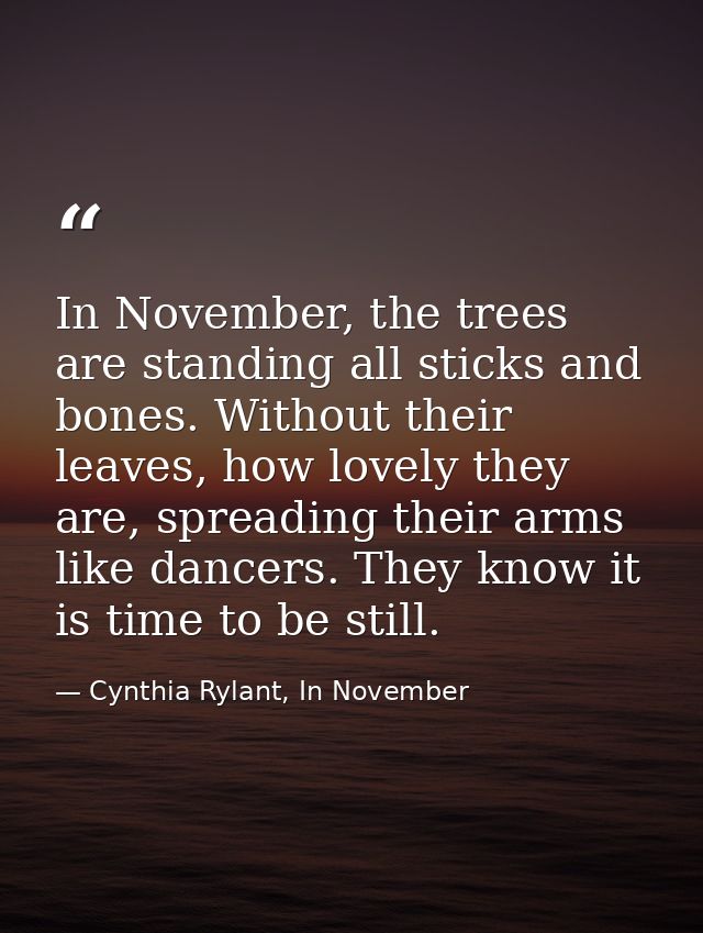 In November, the trees are standing all sticks and bones. Without their leaves, how lovely they are, spreading their arm — Cynthia Rylant, In November
