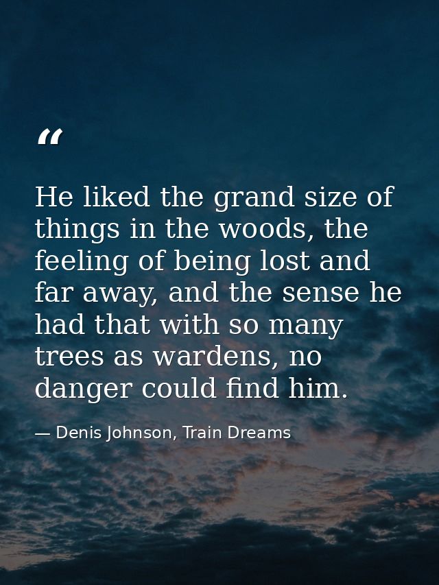 He liked the grand size of things in the woods, the feeling of being lost and far away, and the sense he had that with s — Denis Johnson, Train Dreams