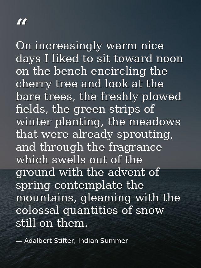 On increasingly warm nice days I liked to sit toward noon on the bench encircling the cherry tree and look at the bare t — Adalbert Stifter, Indian Summer